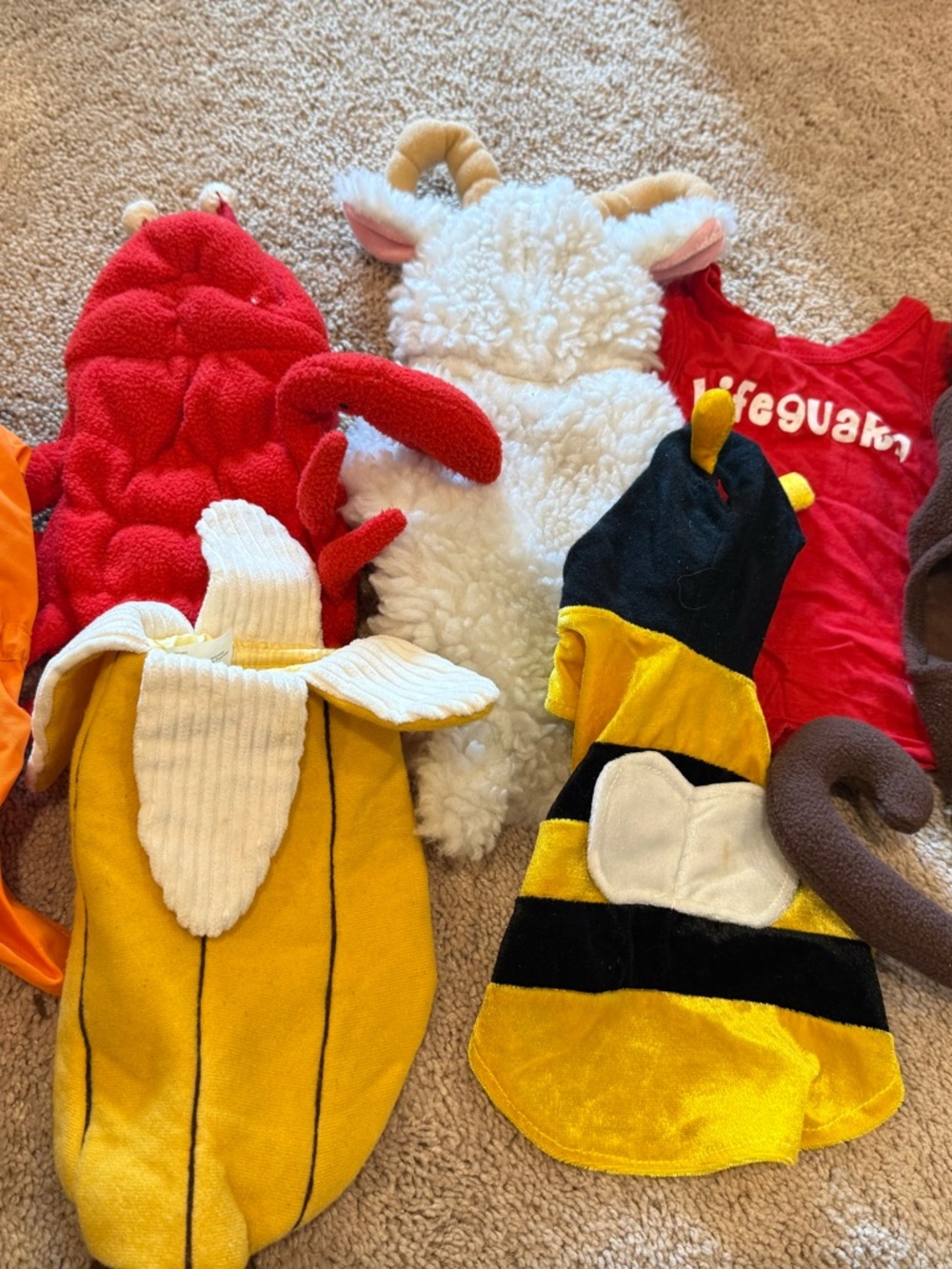 Set of Dog Halloween Costumes- XS